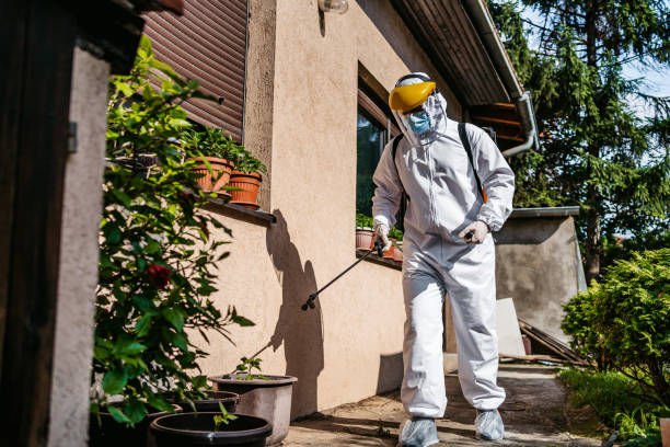 Insect Control in Charleston, IL