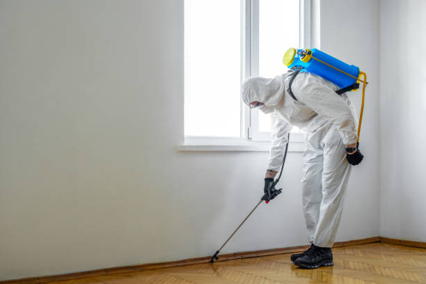 Trusted Charleston, IL Pest Control Experts