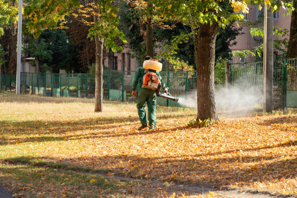 Best Pest Removal Services  in Charleston, IL